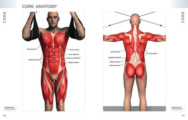 Anatomy of Exercise: A Trainer's Inside Guide to Your Workout