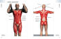 Alternative view 4 of Anatomy of Exercise: A Trainer's Inside Guide to Your Workout