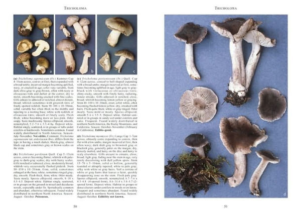 Mushrooms and Other Fungi of North America