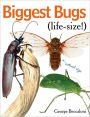 Biggest Bugs Life-Size