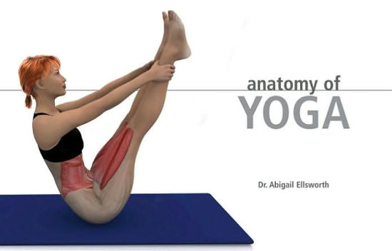 Anatomy Of Yoga An Instructor S Inside Guide To Improving