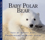 Title: Baby Polar Bear, Author: Aubrey Lang