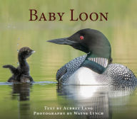 Bestsellers books download Baby Loon in English 