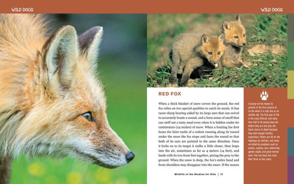 Wildlife of the Rockies for Kids by Wayne Lynch, Paperback | Barnes ...