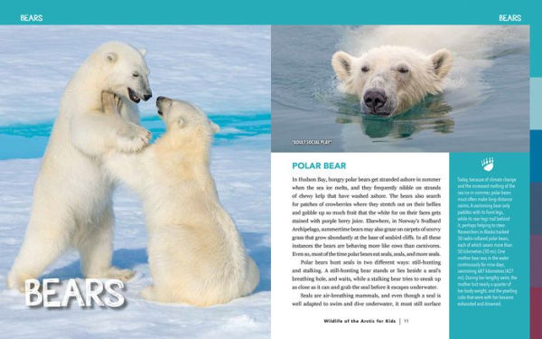 Wildlife of the Arctic for Kids