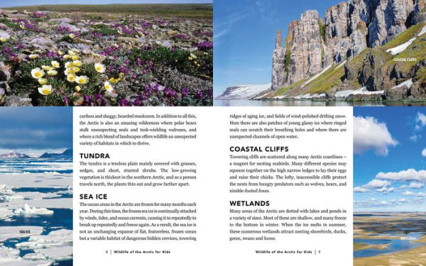 Wildlife of the Arctic for Kids