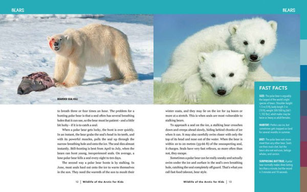 Wildlife of the Arctic for Kids