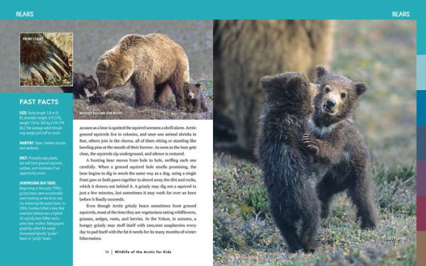 Wildlife of the Arctic for Kids
