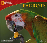 Title: 2012 Parrots - National Geographic Wall Calendar, Author: Zebra Publishing