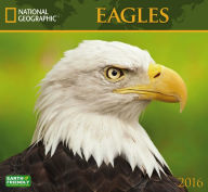 Title: 2016 Eagles Wall Calendar, Author: National Geographic Society