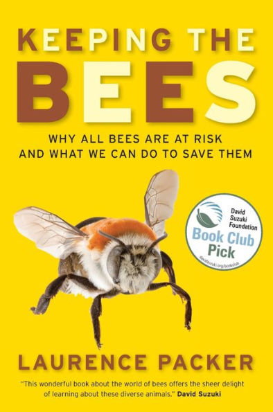 Keeping The Bees: Why All Bees Are At Risk And What We Can Do To