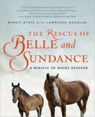 Title: The Rescue Of Belle And Sundance, Author: Birgit Stutz