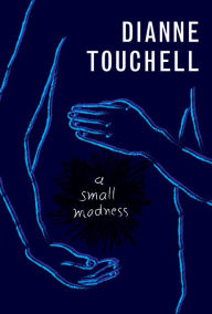 Title: A Small Madness, Author: Dianne Touchell