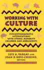 Working with Culture: Psychotherapeutic Interventions with Ethnic Minority Children and Adolescents / Edition 1