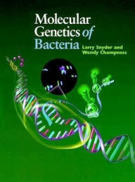 Title: Molecular Genetics of Bacteria / Edition 1, Author: Larry Snyder