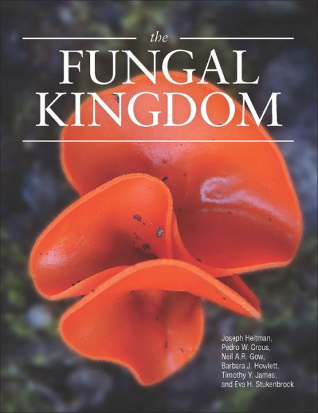 The Fungal Kingdom / Edition 1