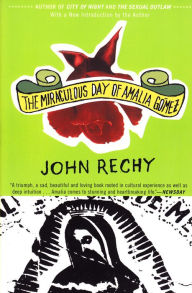 Title: The Miraculous Day of Amalia Gómez, Author: John Rechy