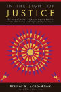 In the Light of Justice: The Rise of Human Rights in Native America and the UN Declaration on the Rights of Indigenous Peoples