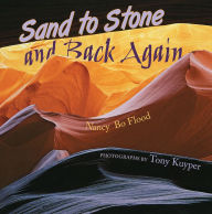 Title: Sand to Stone: And Back Again, Author: Nancy Bo Flood