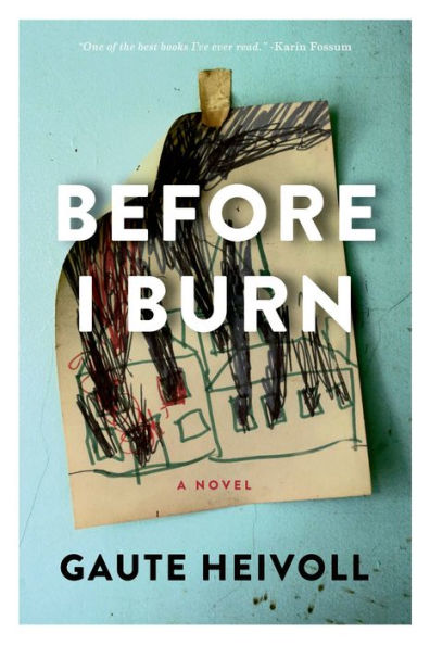 Before I Burn: A Novel