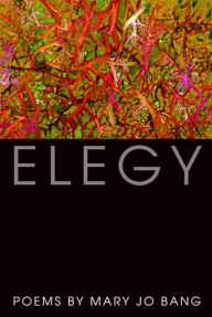 Title: Elegy, Author: Mary Jo Bang