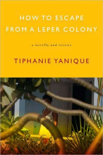 How to Escape from a Leper Colony: A Novella and Stories