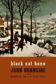 Title: Black Cat Bone, Author: John Burnside
