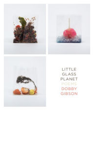 Title: Little Glass Planet: Poems, Author: Dobby Gibson