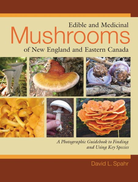 Edible and Medicinal Mushrooms of New England Eastern Canada: A Photographic Guidebook to Finding Using Key Species