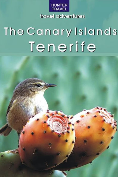 The Canary Islands: Tenerife
