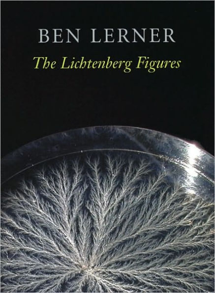 The Lichtenberg Figures