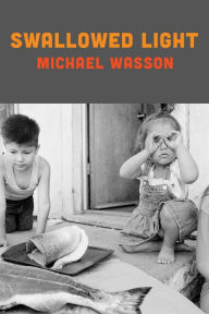 Title: Swallowed Light, Author: Michael Wasson