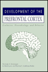 Title: Development Of The Prefrontal Cortex / Edition 1, Author: Norman A. Krasnegor