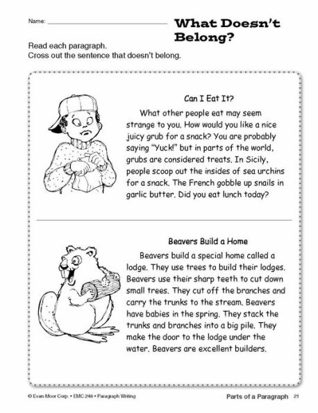 Paragraph Writing, Grade 2 - 4 Teacher Resource