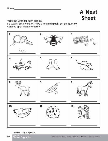 Basic Phonics Skills, Grade 2 - 3 (Level D) Teacher Resource