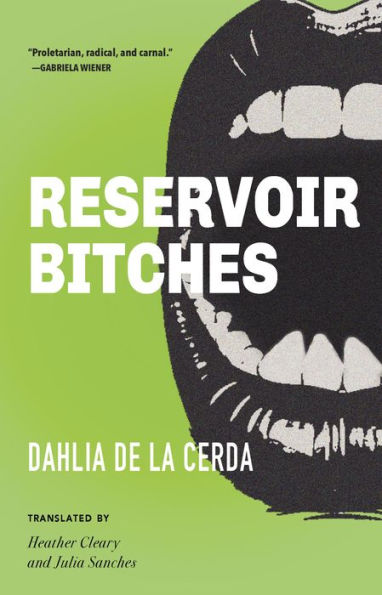 Reservoir Bitches: Stories