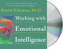 Working with Emotional Intelligence