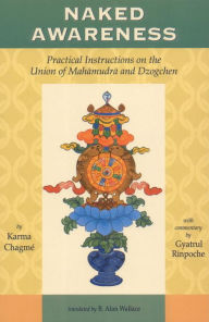 Title: Naked Awareness: Practical Instructions on the Union of Mahamudra and Dzogchen, Author: Karma Chagme