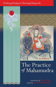 Title: The Practice of Mahamudra, Author: Drikung Kyabgon Chetsang Rinpoche