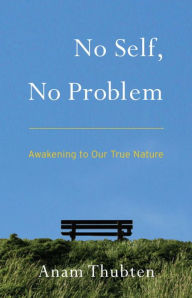 Title: No Self, No Problem: Awakening to Our True Nature, Author: Anam Thubten