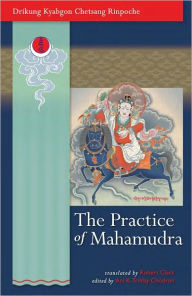 Title: The Practice of Mahamudra (PagePerfect NOOK Book), Author: Drikung Kyabgon Chetsang Rinpoche