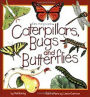 Caterpillars, Bugs and Butterflies