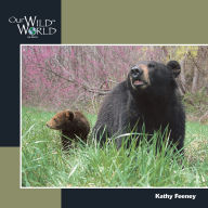 Title: Black Bears, Author: Kathy Feeney