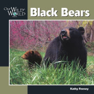 Title: Black Bear, Author: Kathy Feeney