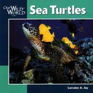 Title: Sea Turtles, Author: Lorraine Jay