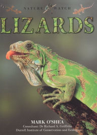 Title: Lizards (Our Wild World), Author: Deborah Dennard