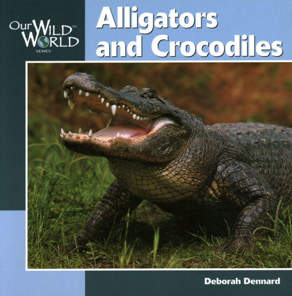 Alligators & Crocodiles