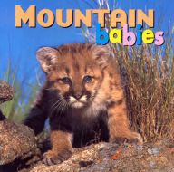 Title: Mountain Babies, Author: Kristen McCurry