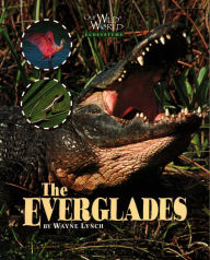 Title: The Everglades, Author: Wayne Lynch