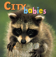 Title: City Babies, Author: Kristen McCurry